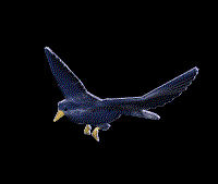 bird-06-june.gif